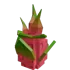 Dragon Fruit — Grow a Garden 2