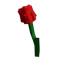 Tulip — Grow a Garden 2