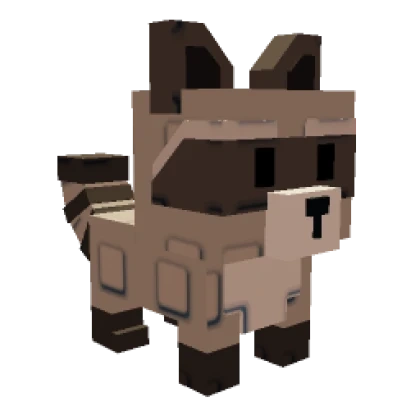 Raccoon — Grow a Garden divine pet